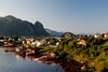 026_MO_Reine_i_morgenlys.jpg